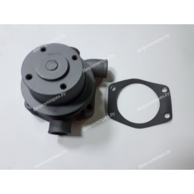 НАСОС ВОДЯНОЙ BALKANCAR Д2500