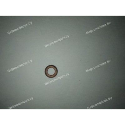 ШАЙБА УПЛОТНИТЕЛЬНАЯ /МЕФИН/ BALKANCAR Д3900