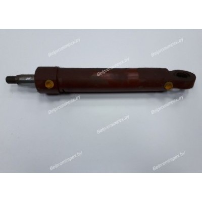 ЦИЛИНДР УПРАВЛЕНИЯ RAK (РАК)