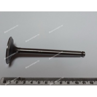 КЛАПАН ВПУСКНОЙ BALKANCAR Д2500