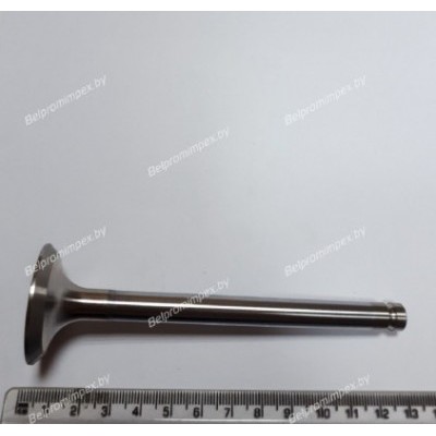 КЛАПАН ВЫПУСКНОЙ BALKANCAR Д3900