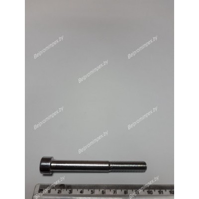 БОЛТ СПЕЦИАЛЬНЫЙ BT